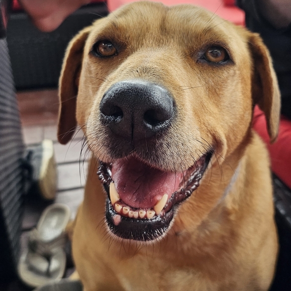 Meet your Posher, April - Picture 7 of 9